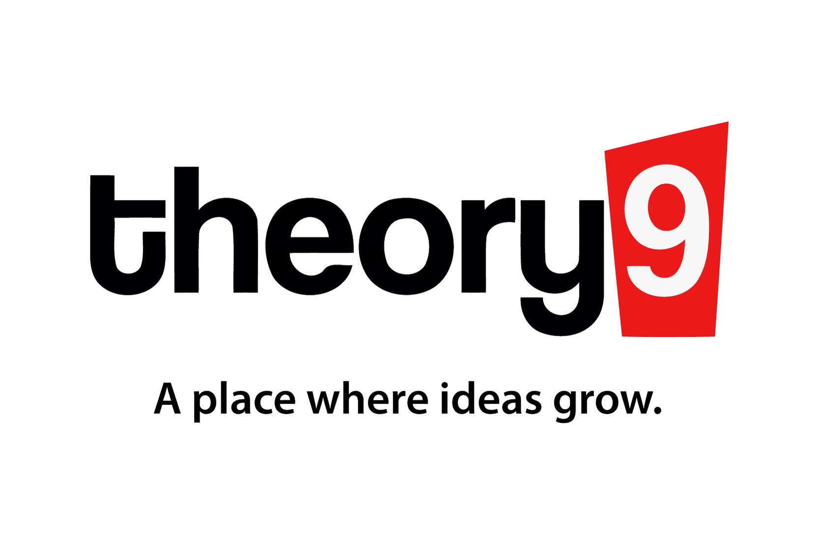 theory 9 logo.png