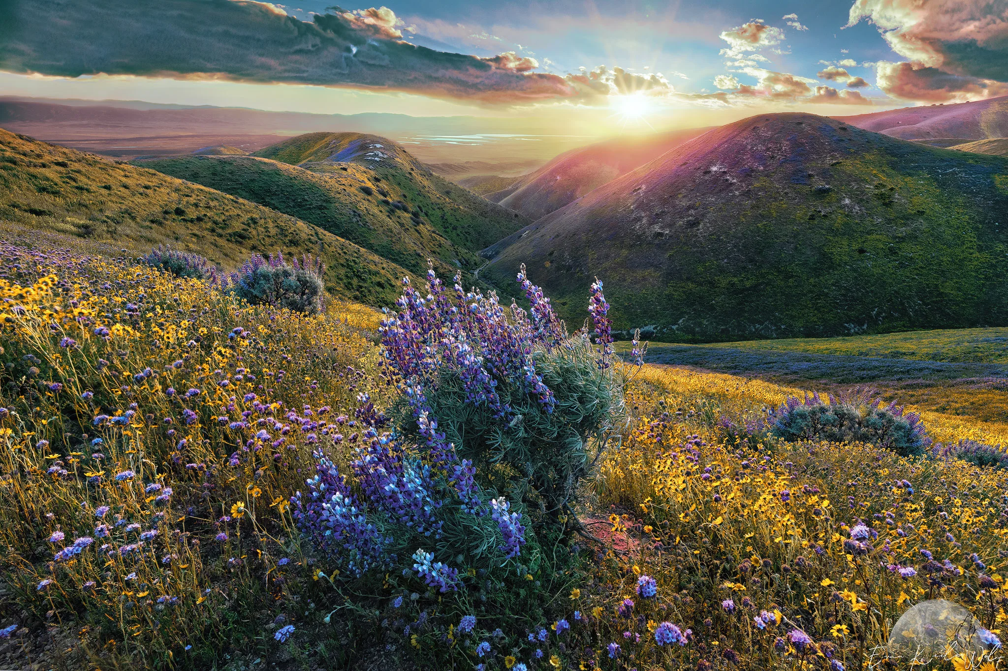 Blustery Abundance
