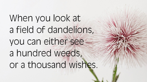 TheBalancePoint-dandelions.jpg