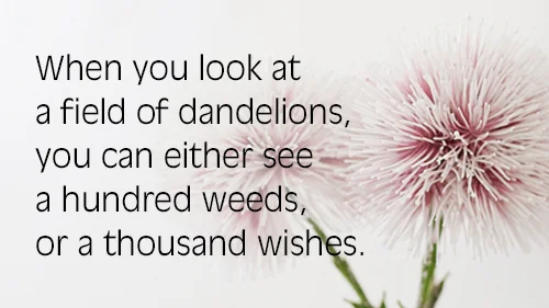 TheBalancePoint-dandelions.jpg