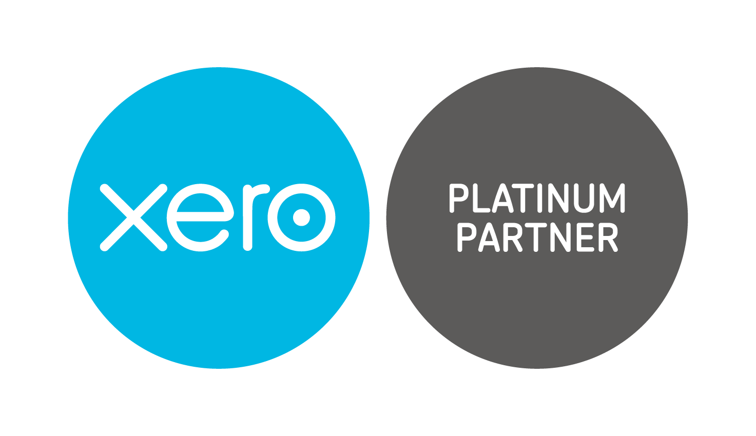 DM &amp; Co is proud to be a Xero Platinum Partner