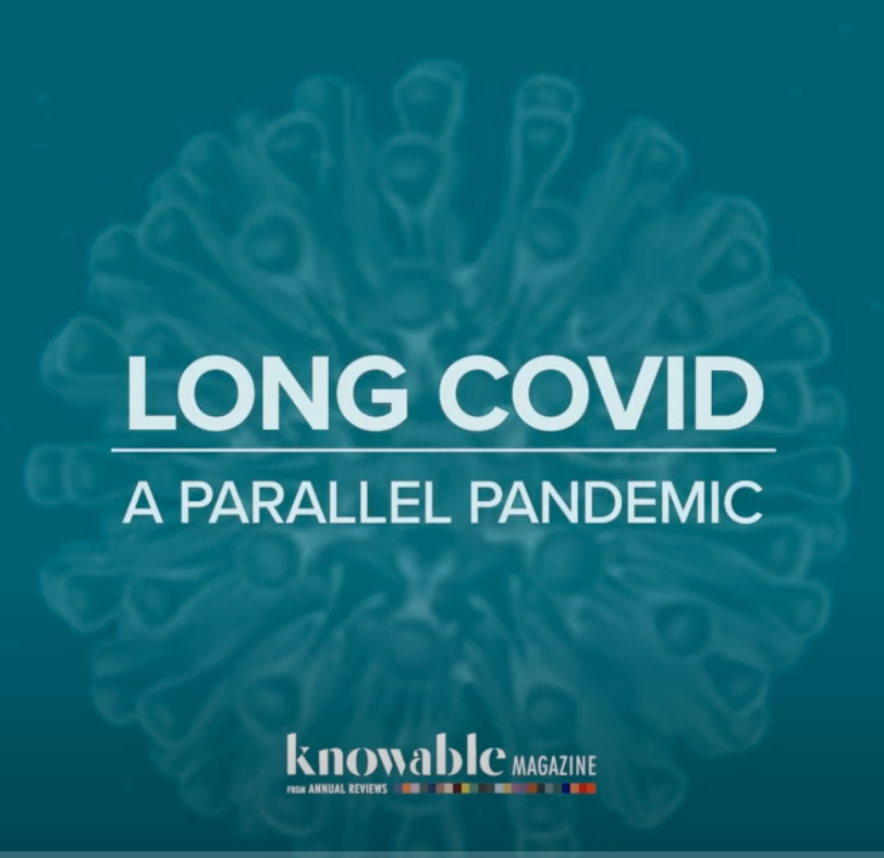 Long Covid: A Parallel Pandemic