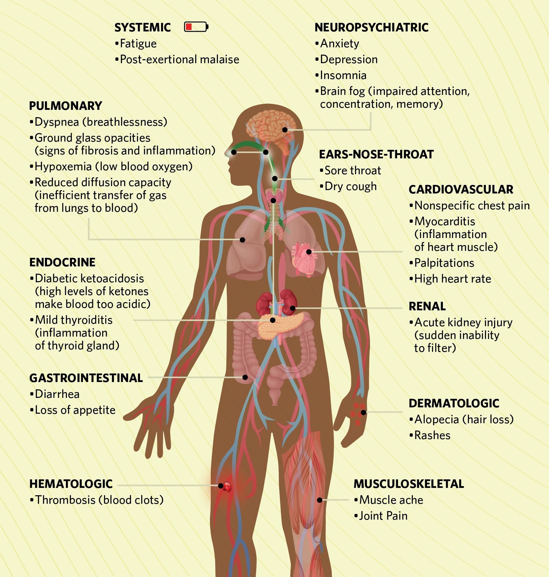 Bodily Systems Affected by Long COVID