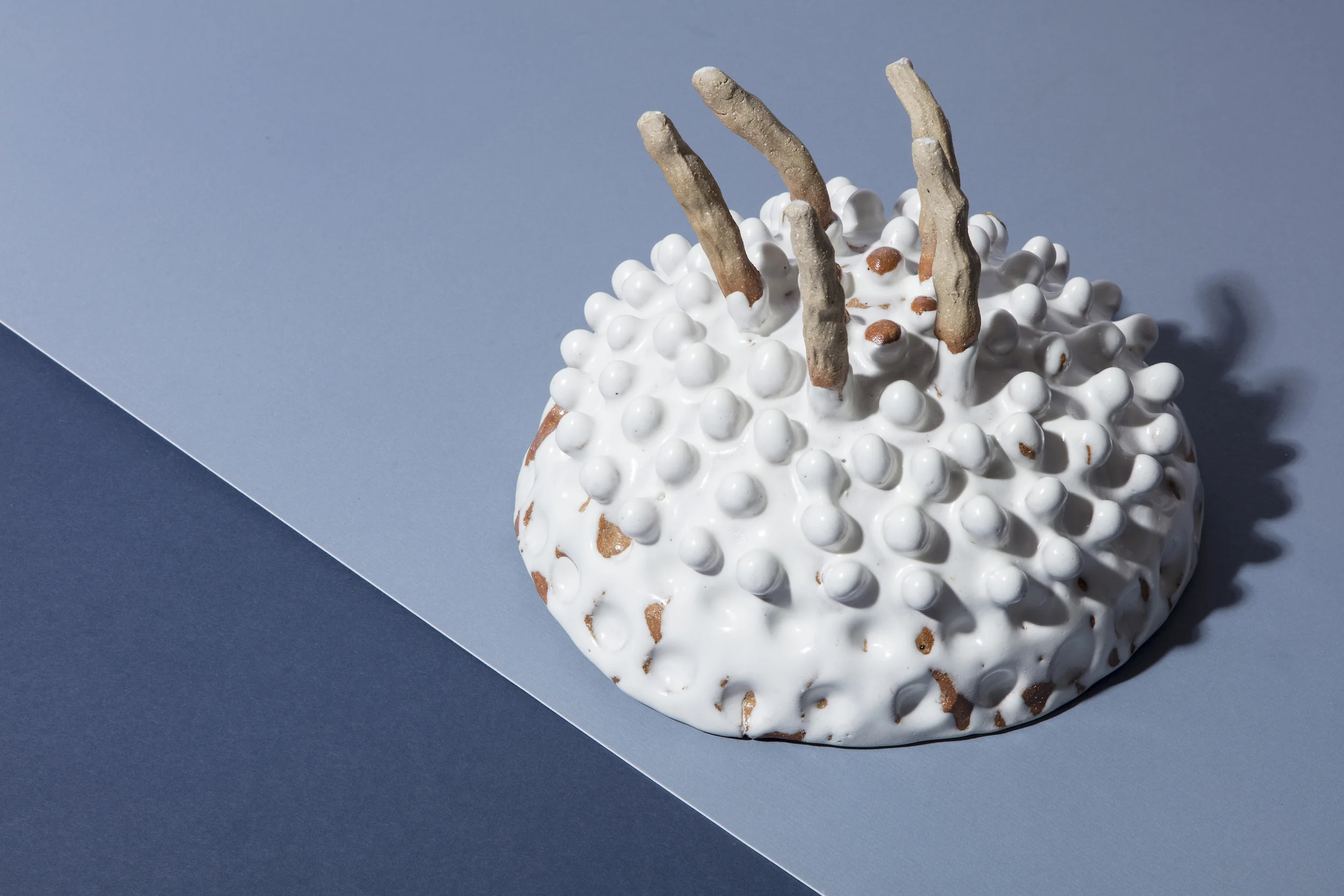 Tom Freeman, Glory Glory, 2017, glazed stoneware (underside).