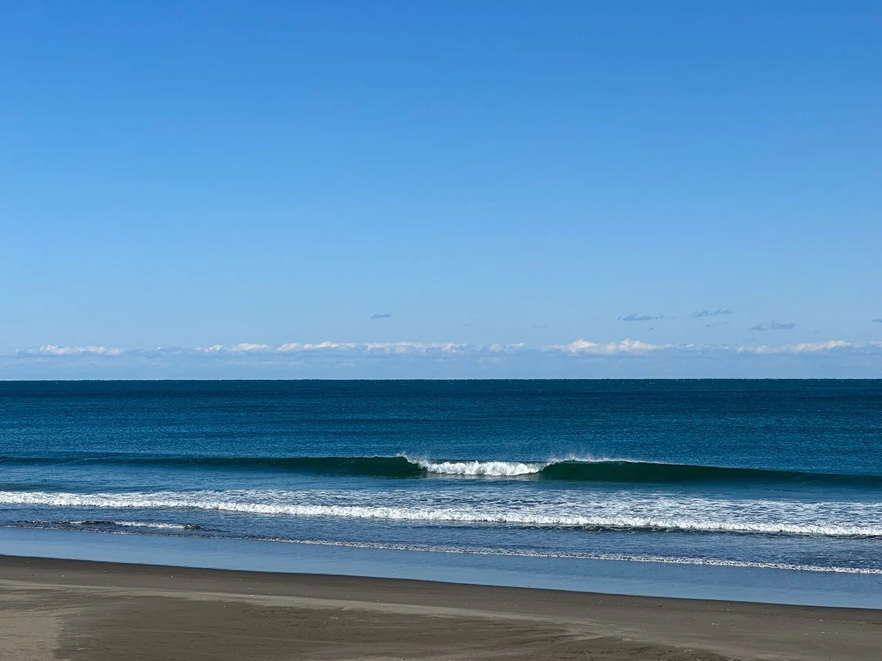 WAVE REPORT ! Jan 26