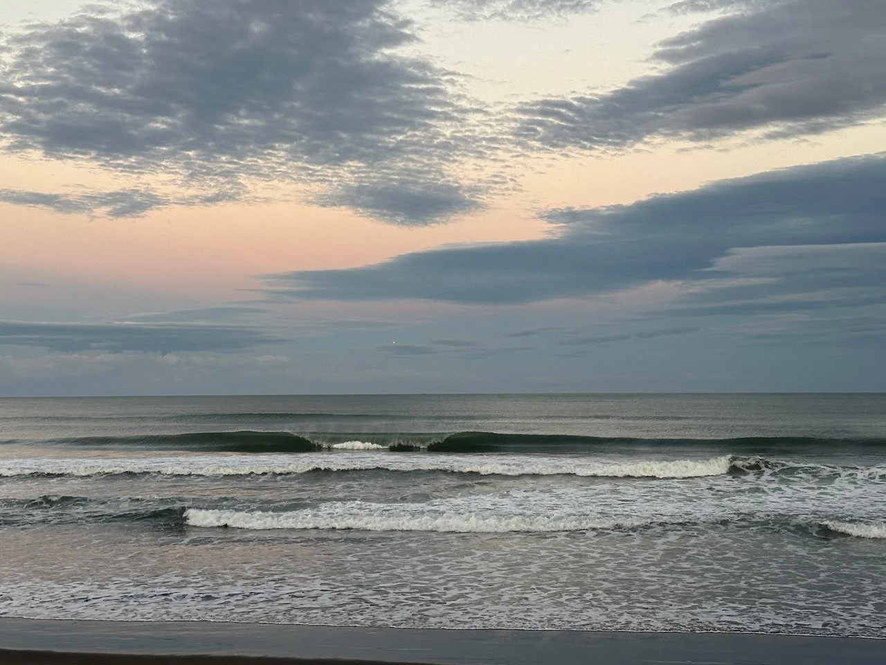 WAVE REPORT ! November 2025