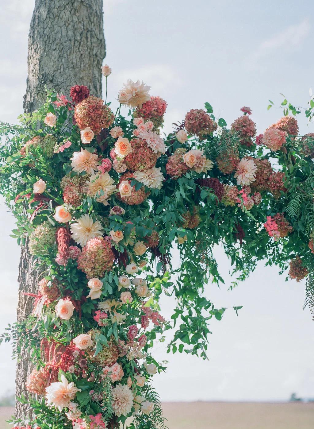 Holly Chapple Flowers