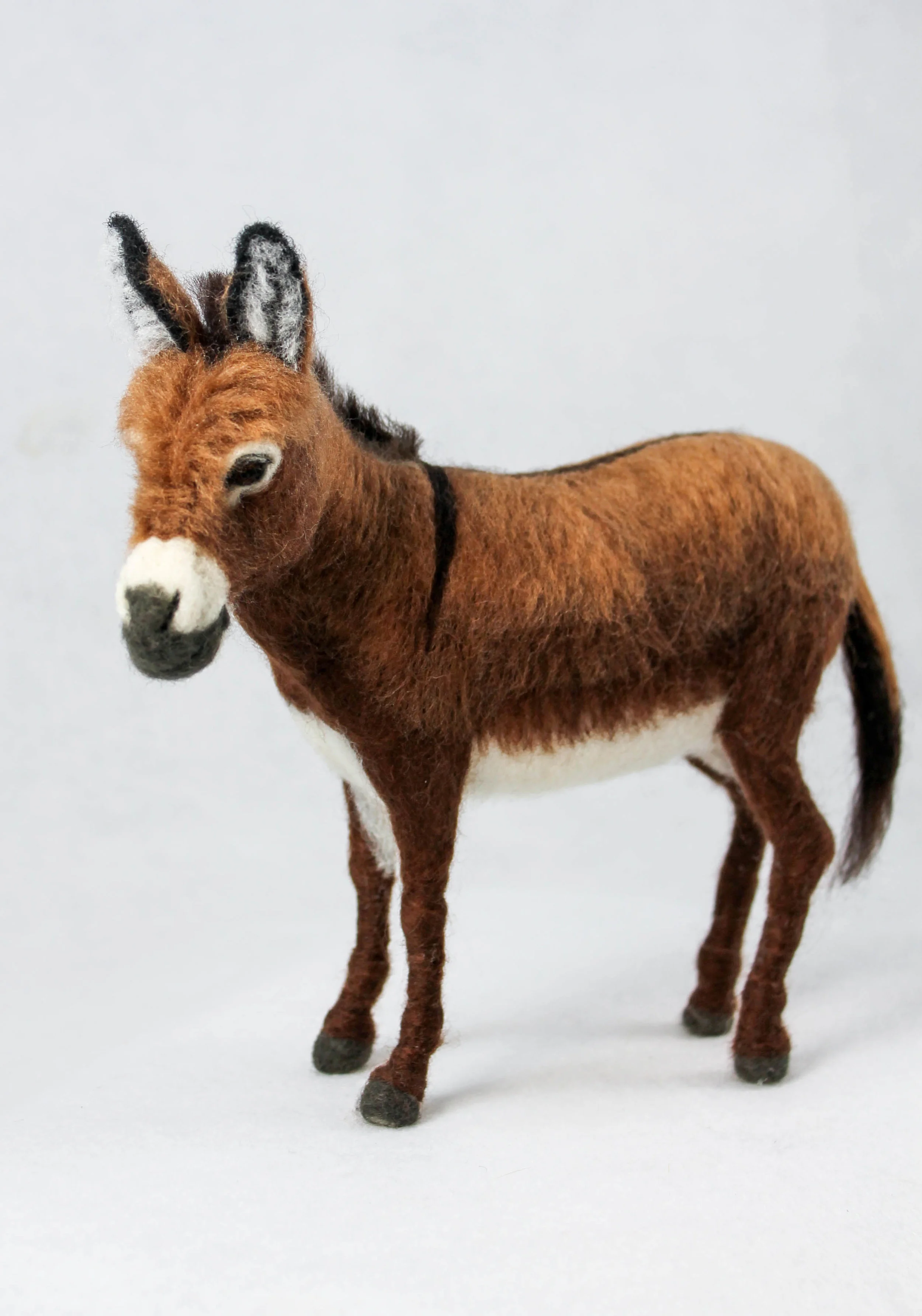 donkey1.jpg