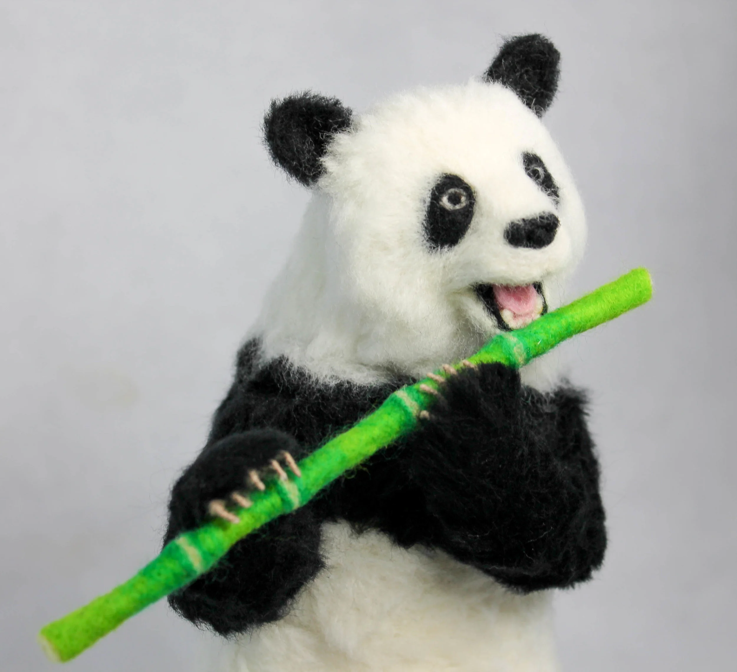 giant panda3.jpg