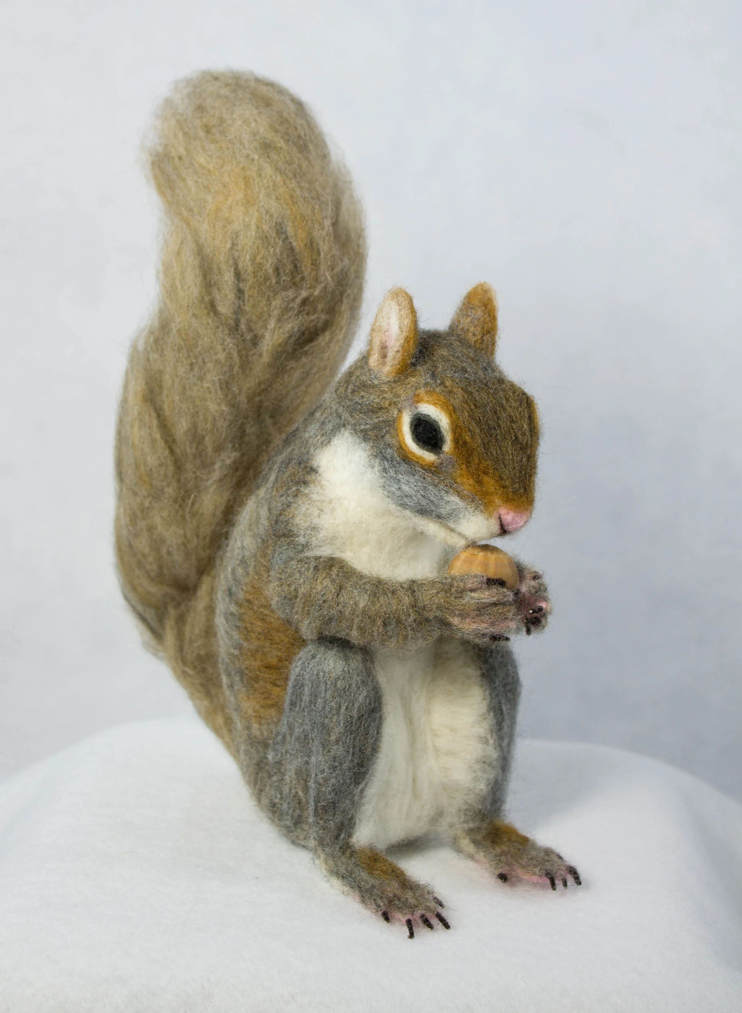 squirrel2.jpg