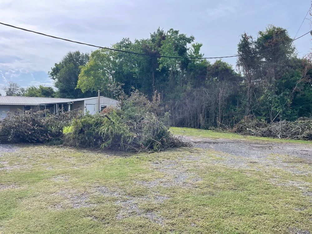 limbs and tree debris in piles with nursery building in background