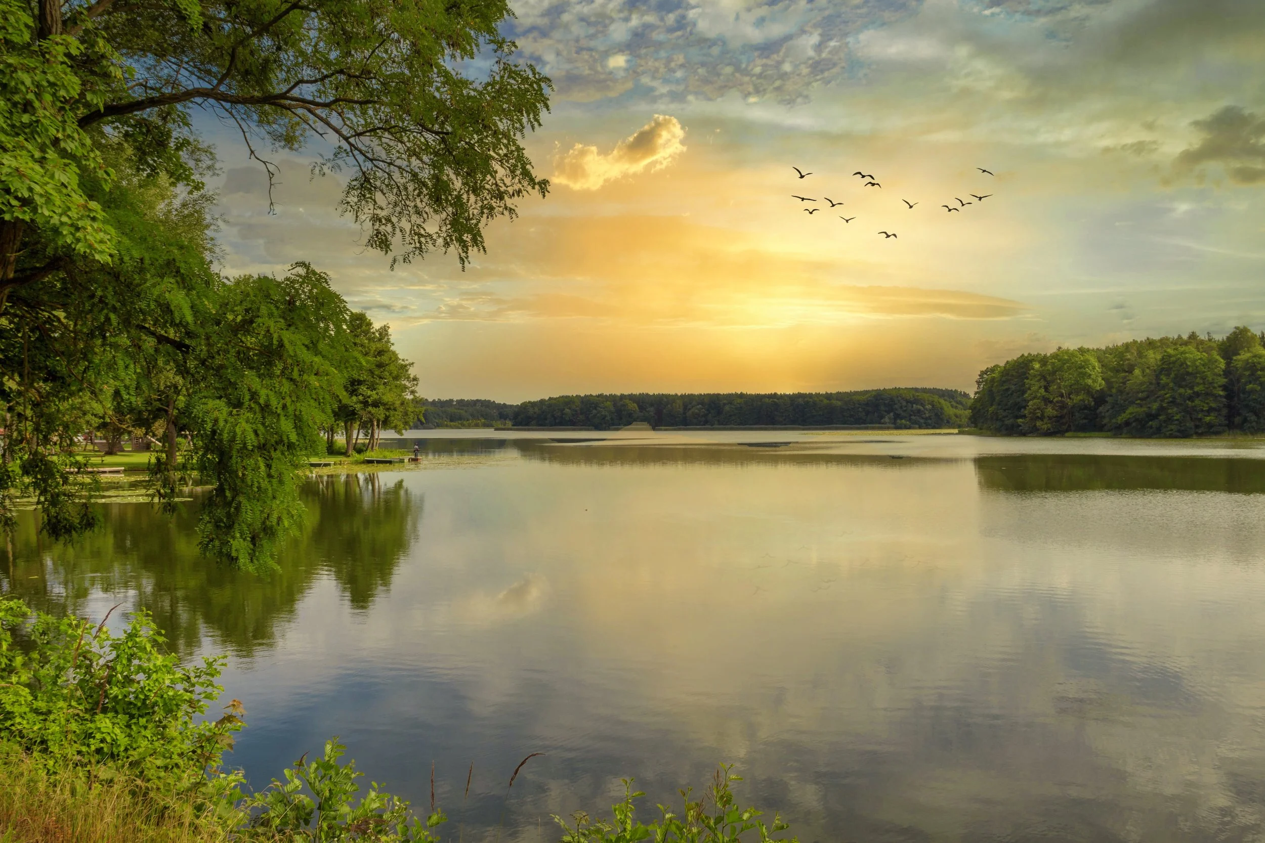 guvo59-lake-5593552.jpg