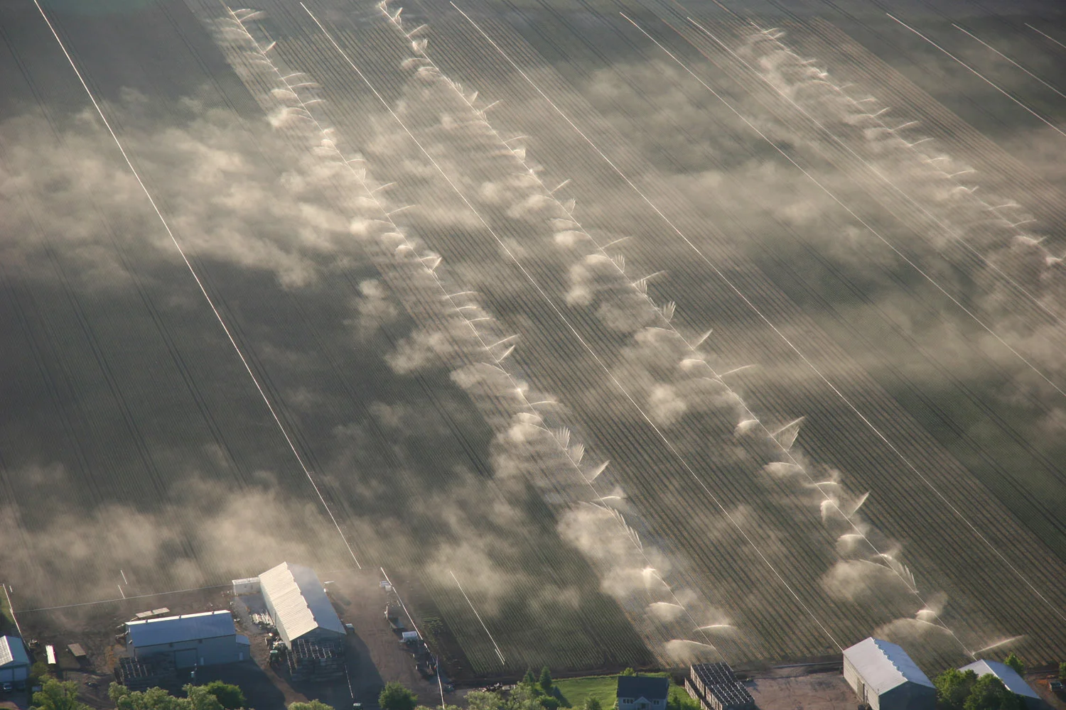 Y SPRINKLERS web.jpg