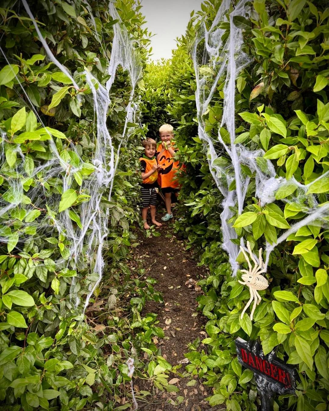 We had a spook-tacular time at last week&rsquo;s Halloween party! A huge thank you to all whaanau who joined us for an afternoon full of frightful fun and spooky celebrations. We can&rsquo;t wait to see what next year brings! 🎃👻