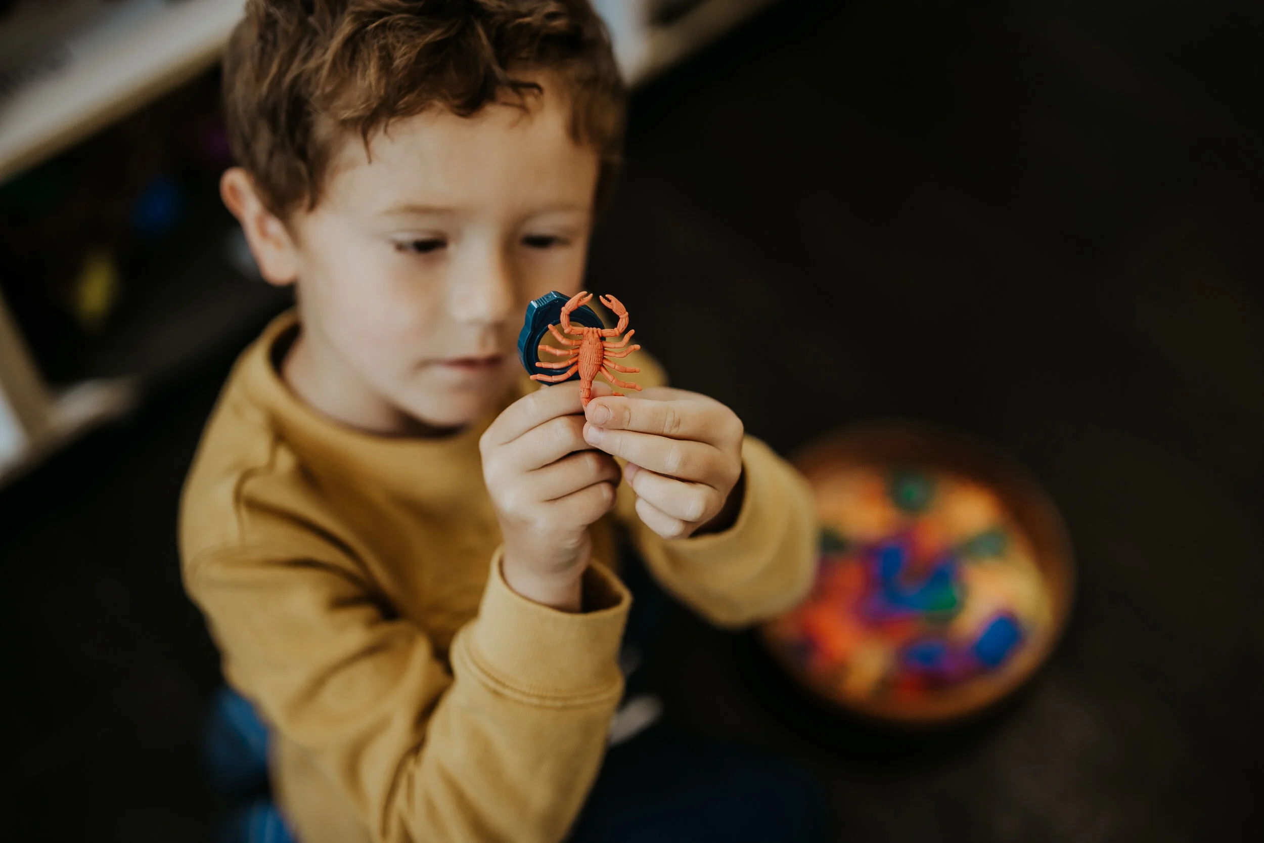 The Meadows Early Learning Centre Free Wifi