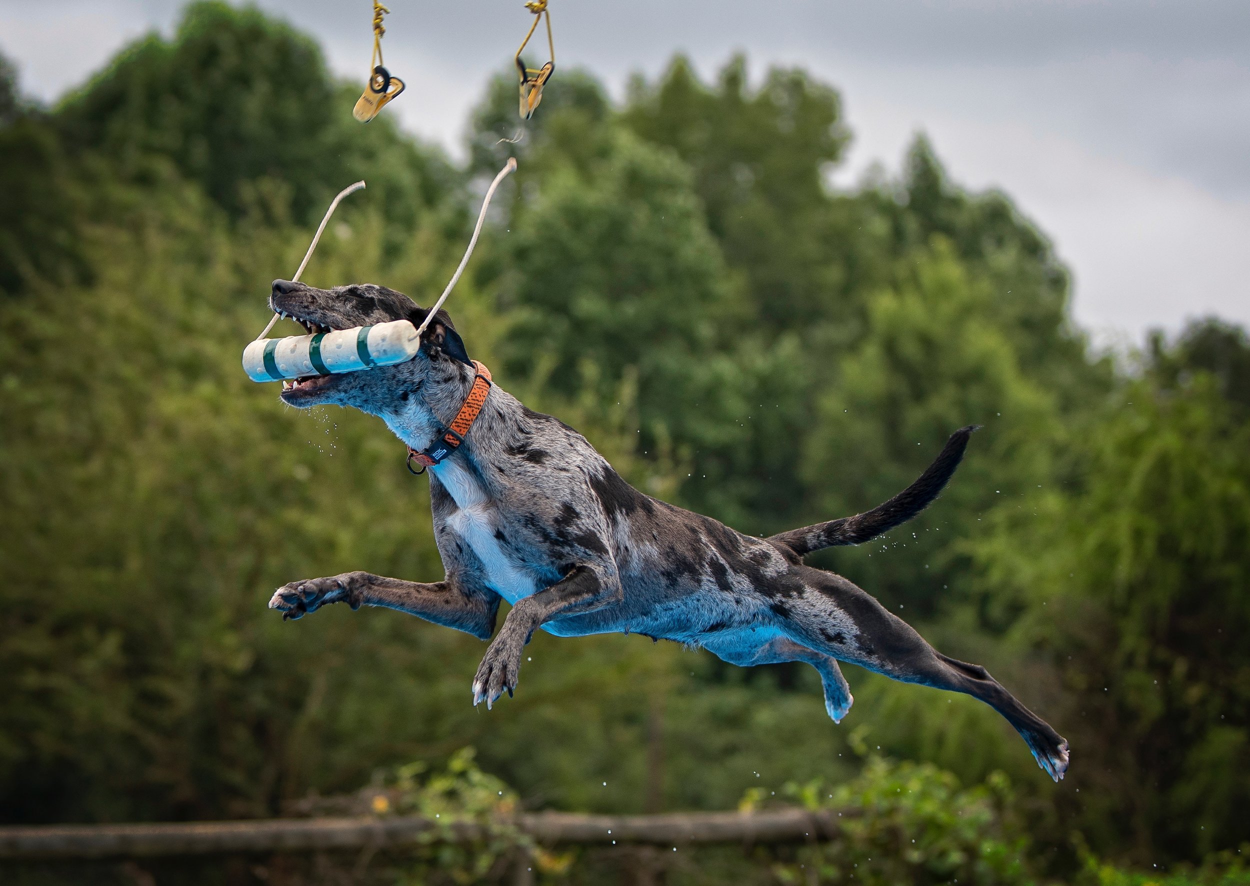 DS5_3111.JPG