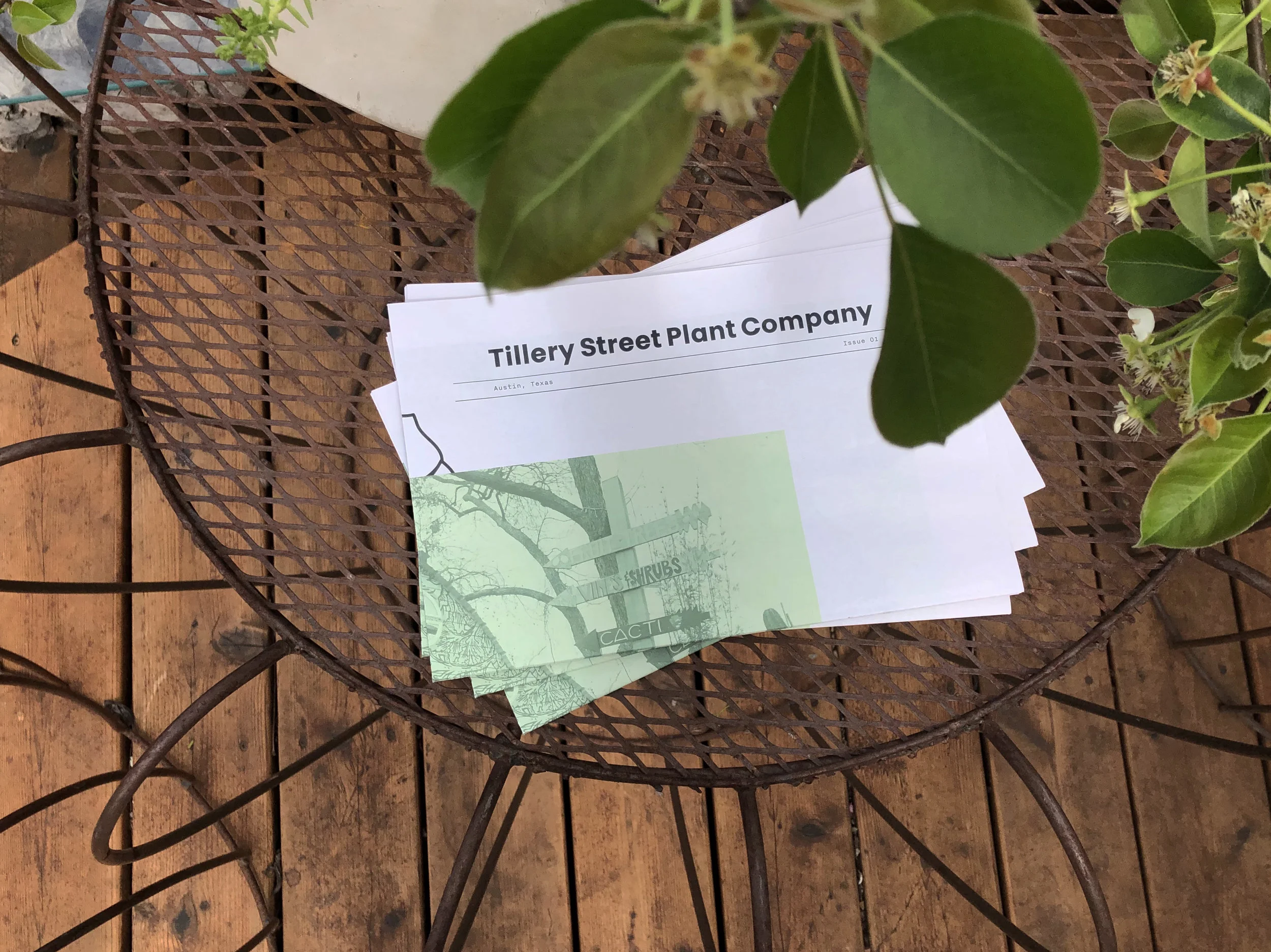 Tillery_Dis_05.jpg