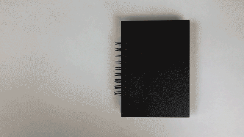 IMG_2905-2.gif