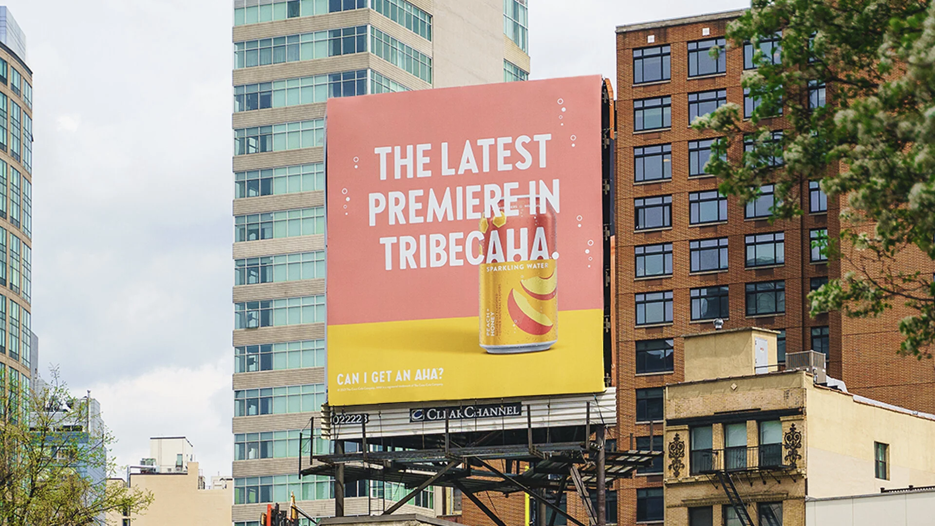 AHA_Brand_Campaign_Preacher.co  .012.jpeg