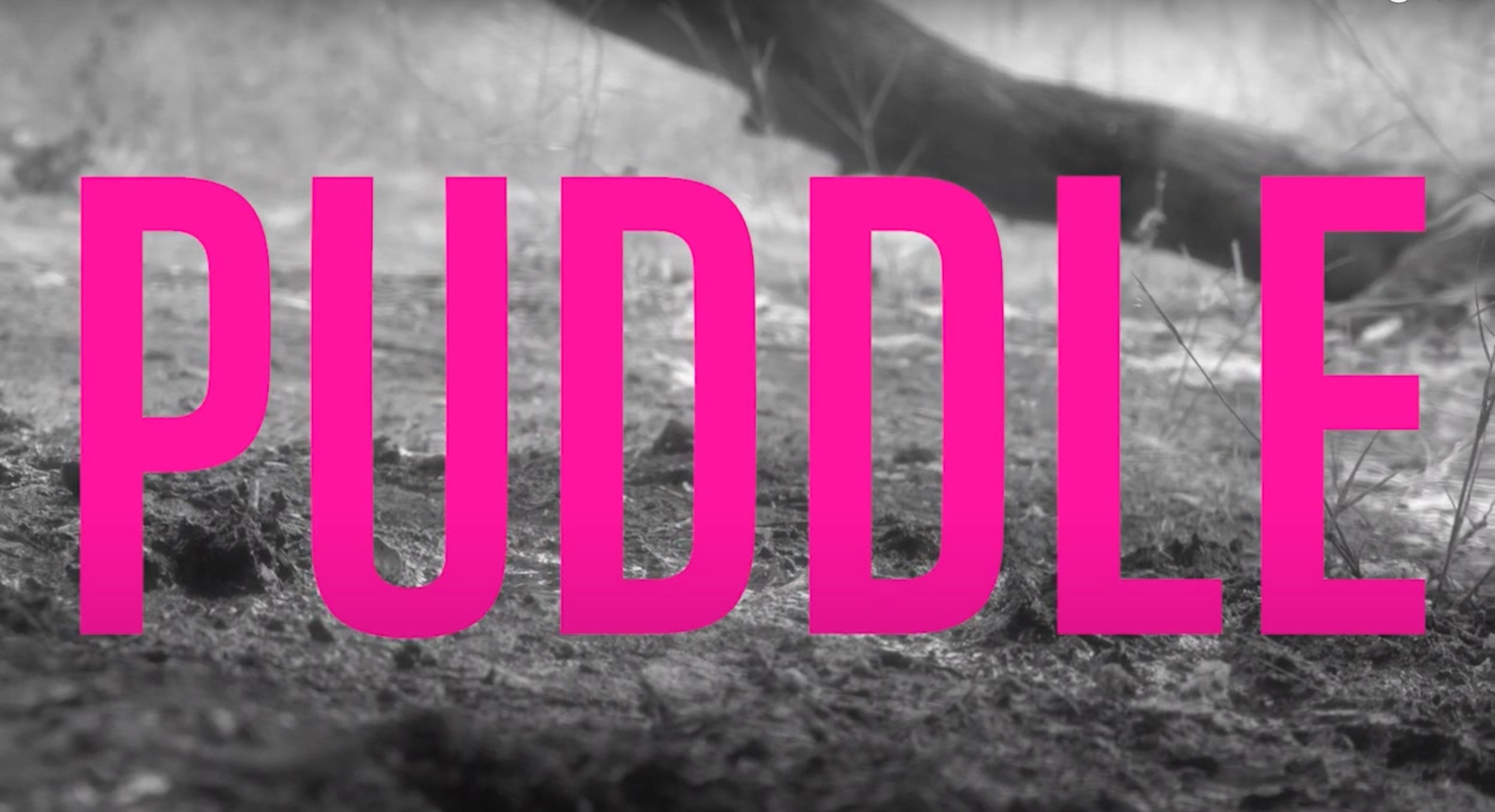 Puddle (Short Film) - Director of Photography