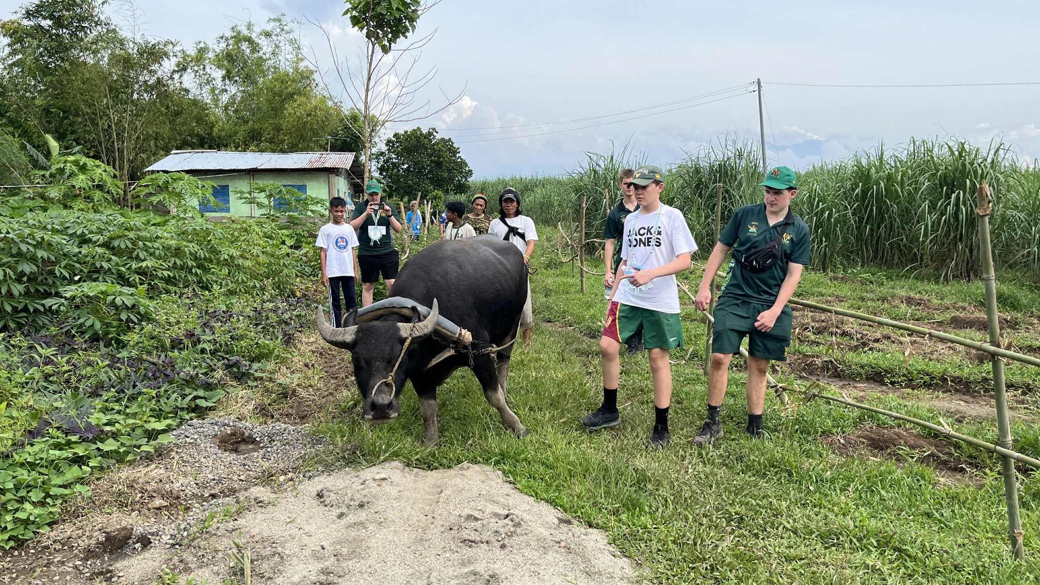 e11e53ee-d7e0-4be2-9832-52d6c520074a (1).jpeg