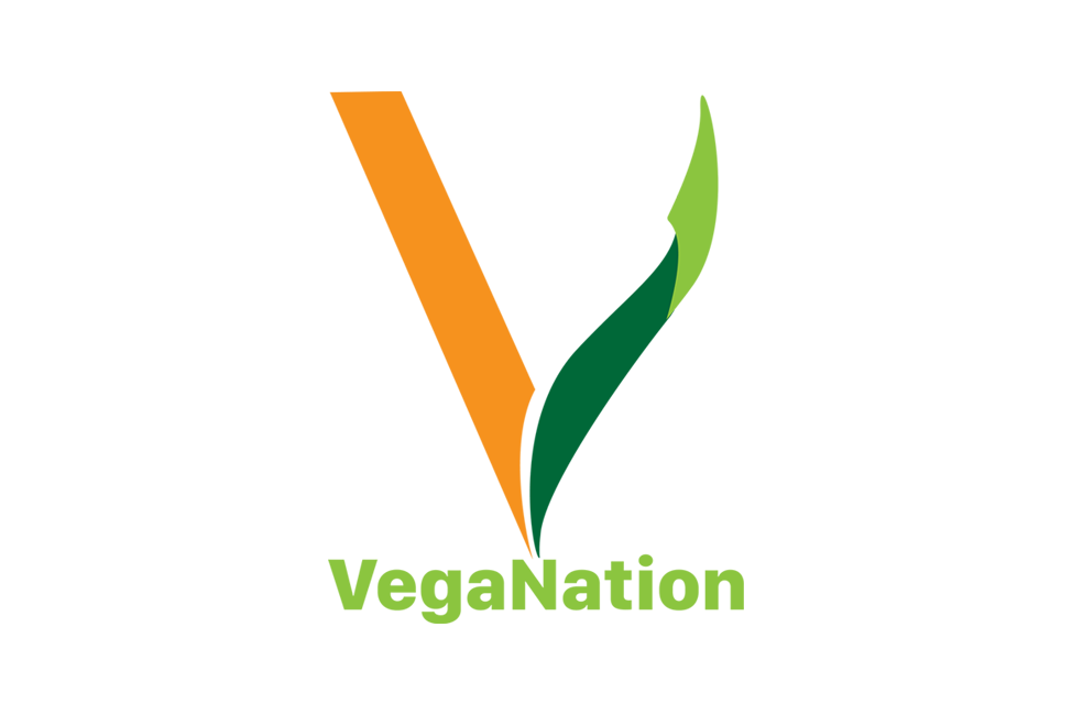    The logo design is built upon the letter “V” for vegan, symbolizing the app’s core mission. The orange, rigid geometric shape represents the “nation”—structured and urban—while the right side flows organically in two shades of green, embodying nat
