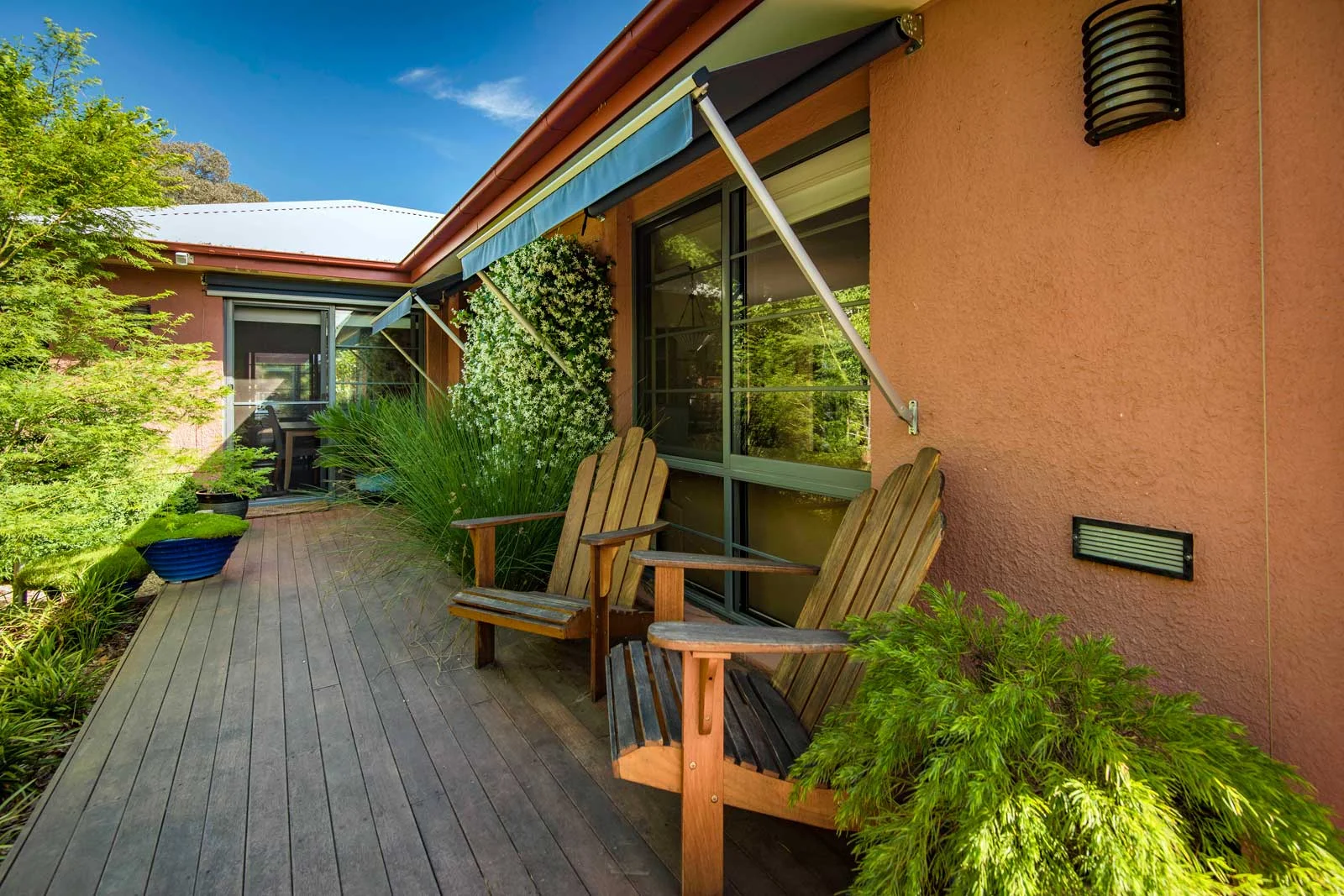 Timber deck links outside garden to inside, aquatic plants, pot plants, Japanese Maple, Adirondack chairs | Canberra Gardens