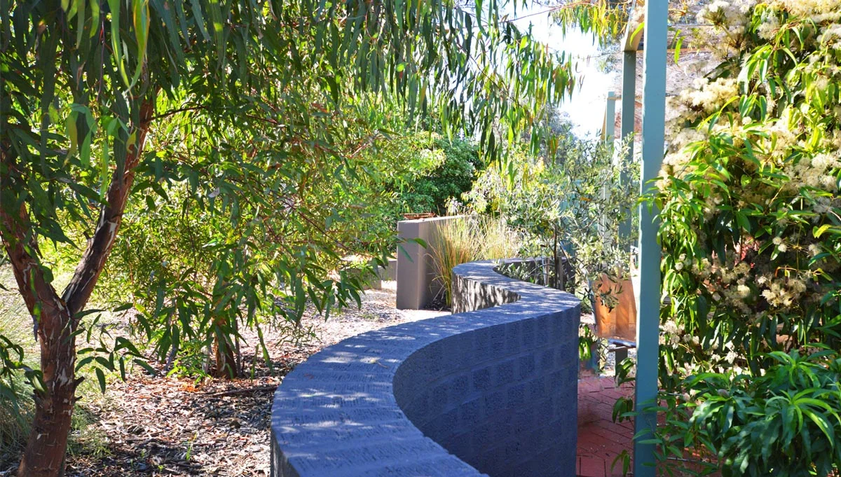 Serpentine free standing brick wall divides garden space planted with natives | Canberra Gardens