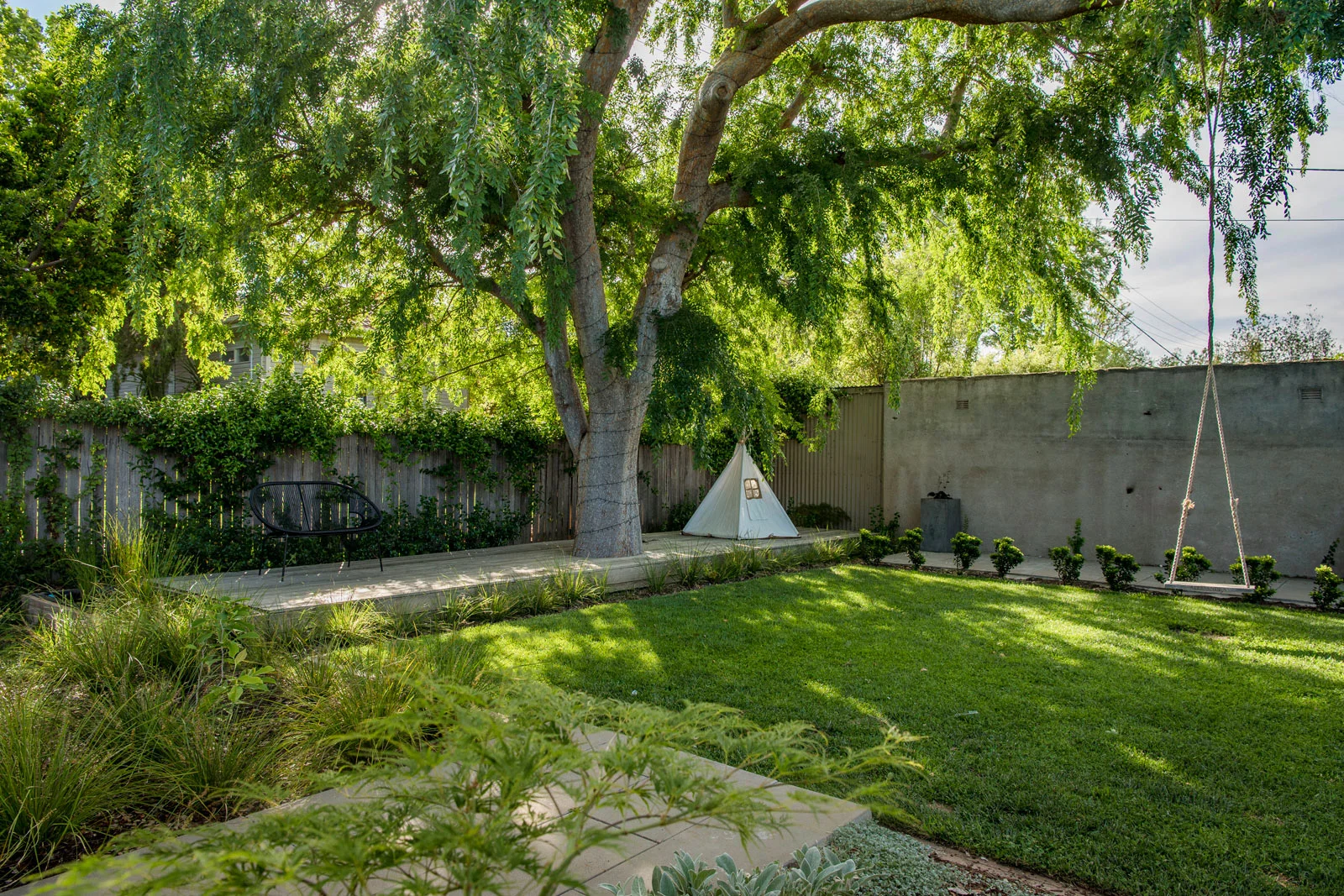 Family friendly garden, feature lawn, Chinese Elm in deck | Canberra Gardens
