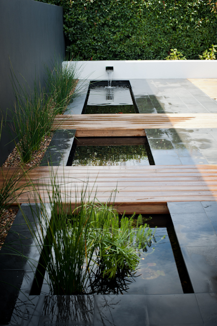 Contemporary inground rectangular water feature with waterfall, aquatics and marginal plants blackbutt bridge decking | Canberra Gardens