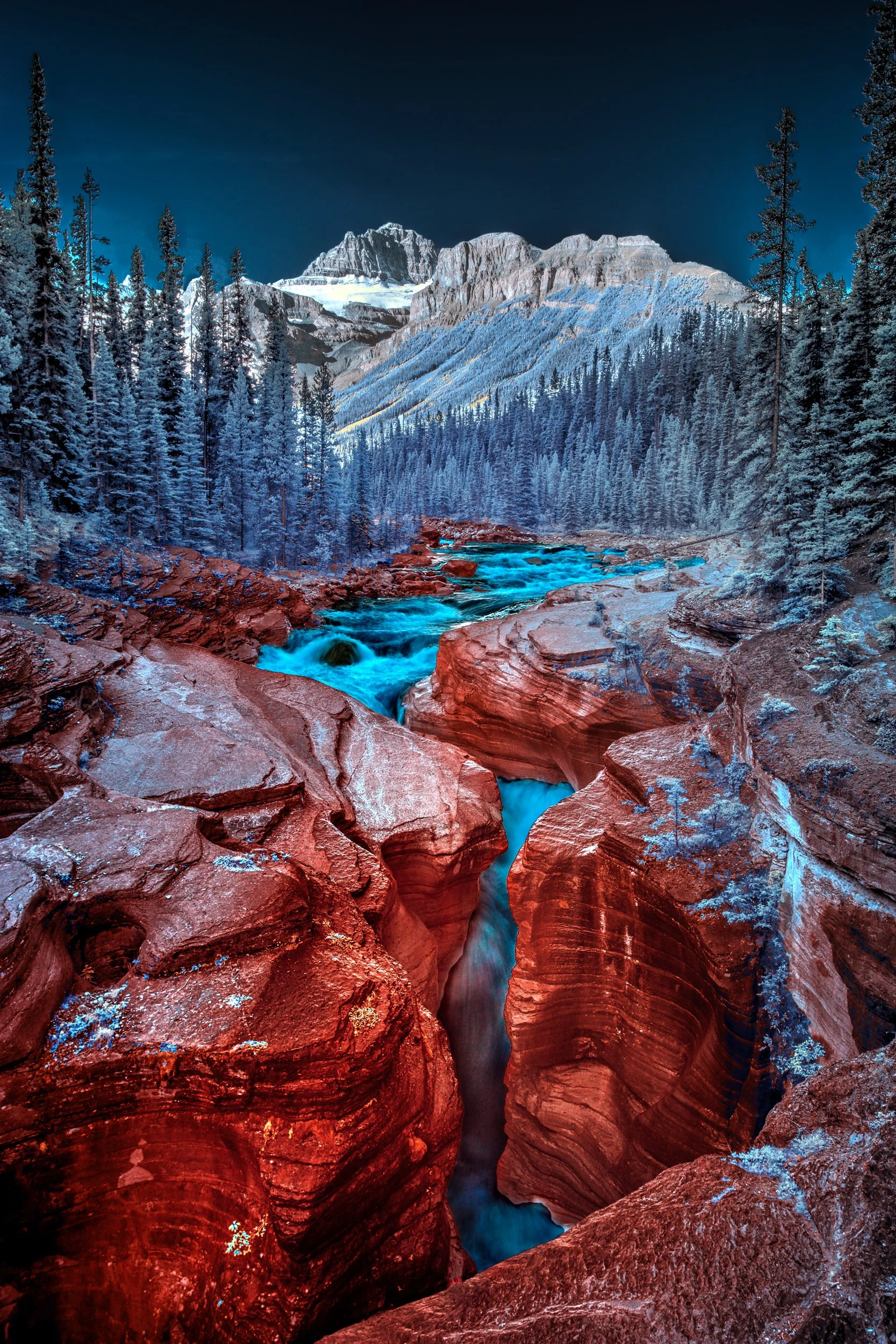 _DSC0204_5_6_7_8_tonemapped.jpg