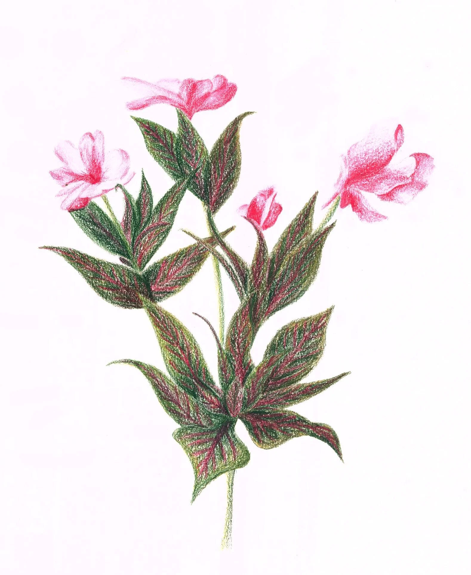 KIC Document 51-min.jpg