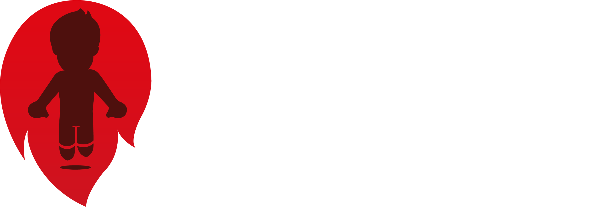 Fireboy Agencia Digital