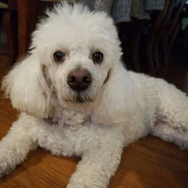 It's always challenging to break away from the past and what's familiar and focusing on the future and self improvement. This last year I endured my own share of challenges and insecurities, trying to figure out my place in the world and where I belo