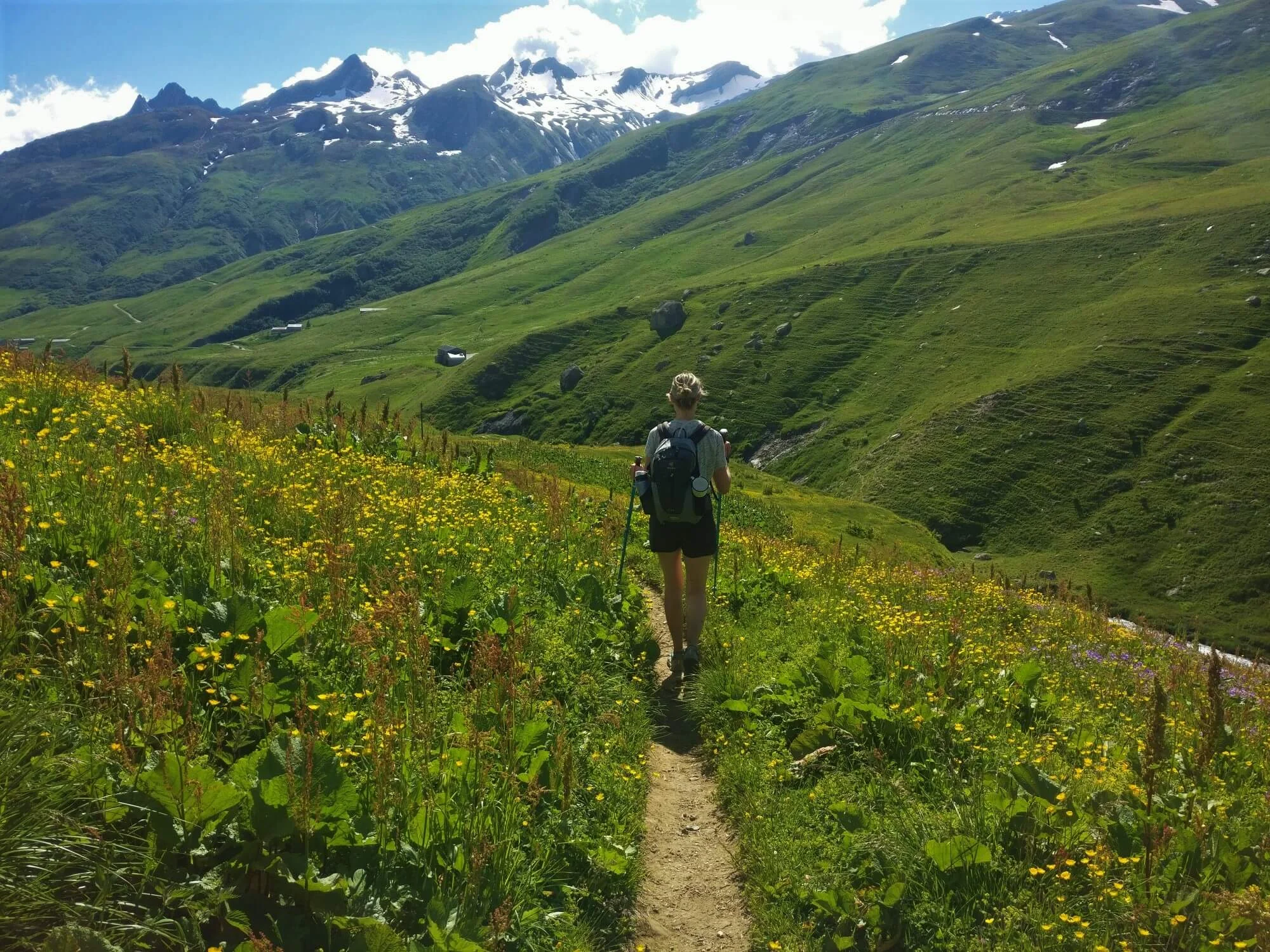 Vallée des Glacier: Wildflowers lining the trail in June/July