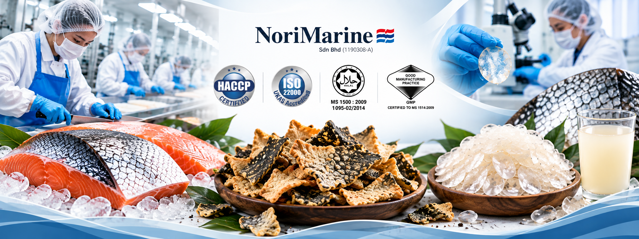 NoriMarine Salmon Innovation Banner.png