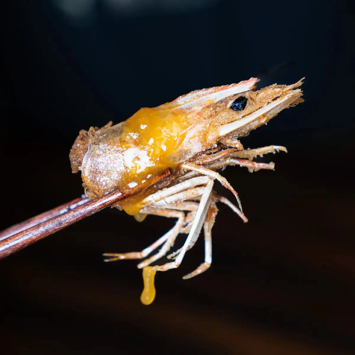fried-shrimp-heads-main.jpg
