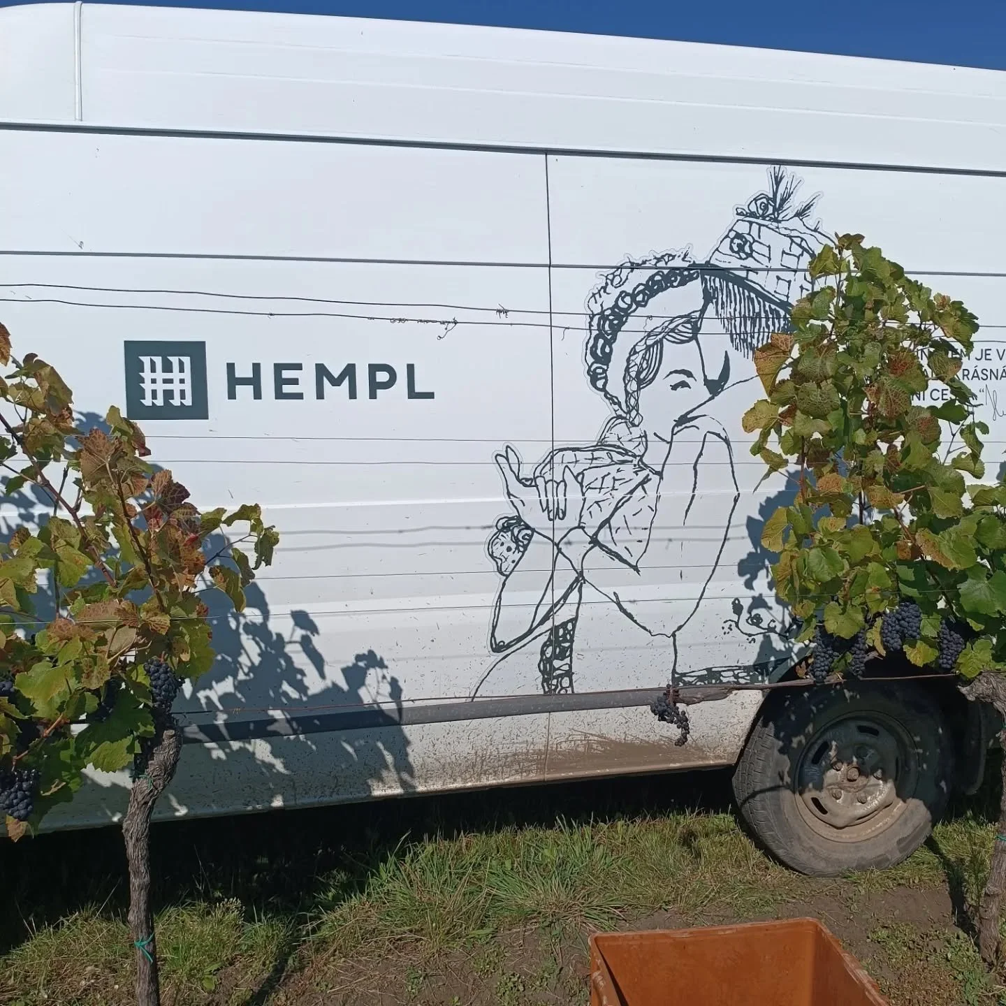 Vinobran&iacute; v pln&eacute;m proudu.
#vinobrani #pijuhempla #vinarstvihempl #modrehory #boretice #republikakravihora