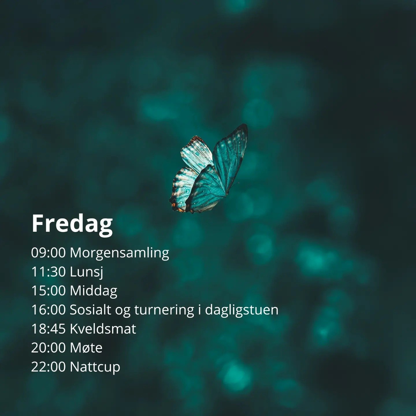 Håp fredag.jpg