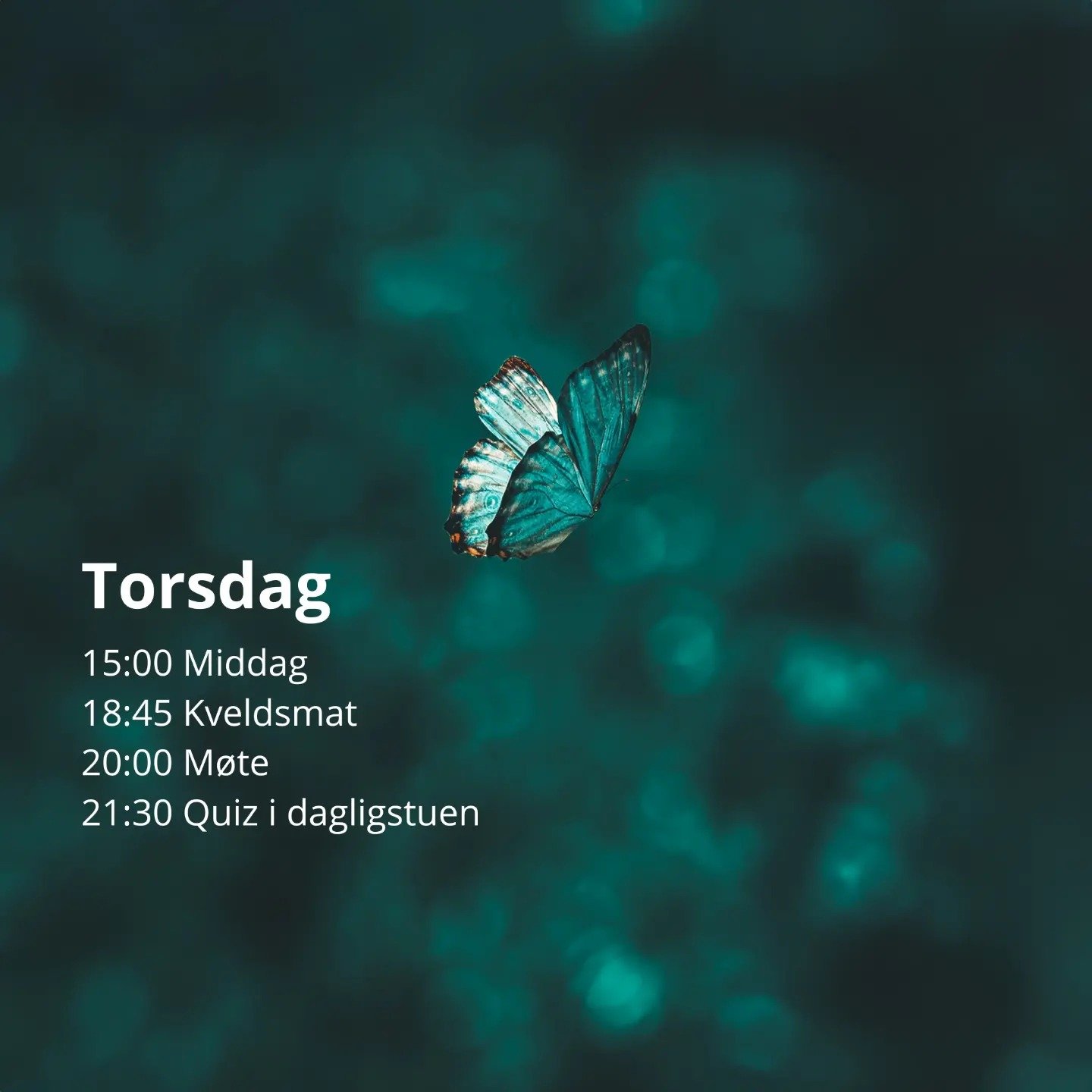 Håp torsdag.jpg