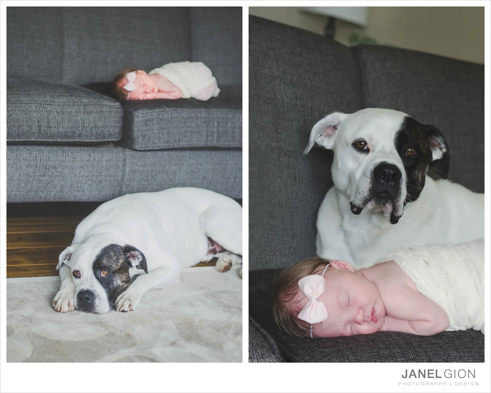 North-Idaho-Family-Children-Photographer-Year-in-Review-Contest-2013-Lifestyle-Family-Portraits-by-Janel-Gion-Photography_0052.jpg