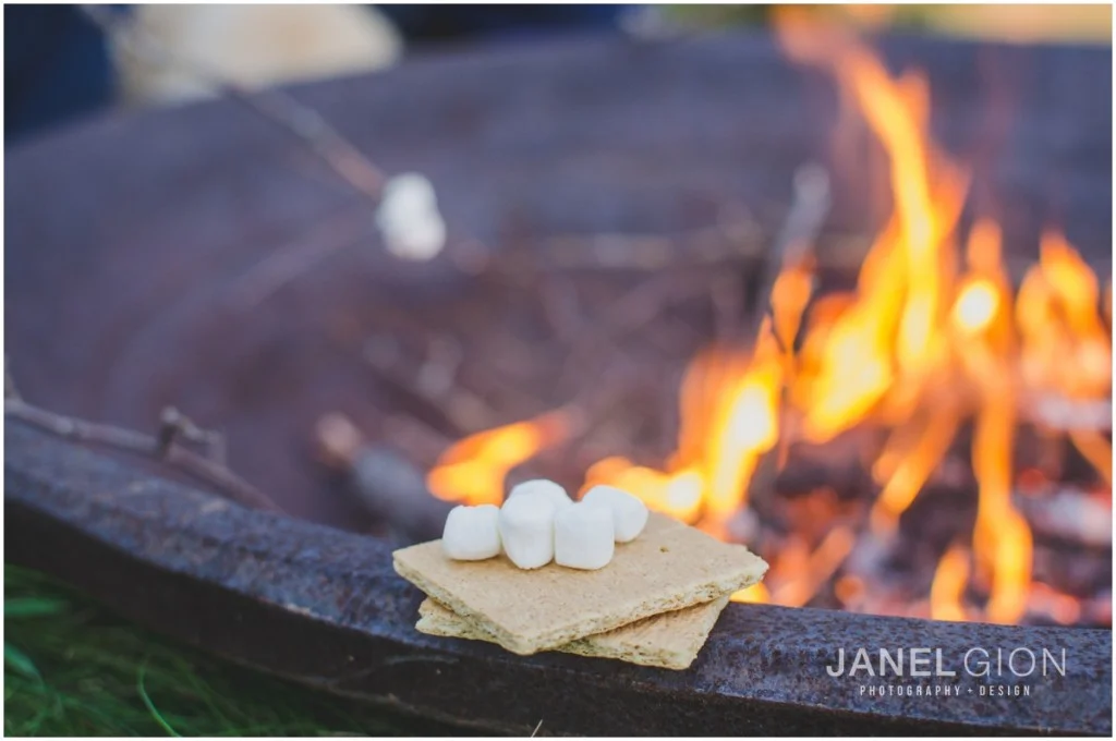 Sandpoint Idaho Family Lifestyle Portraits