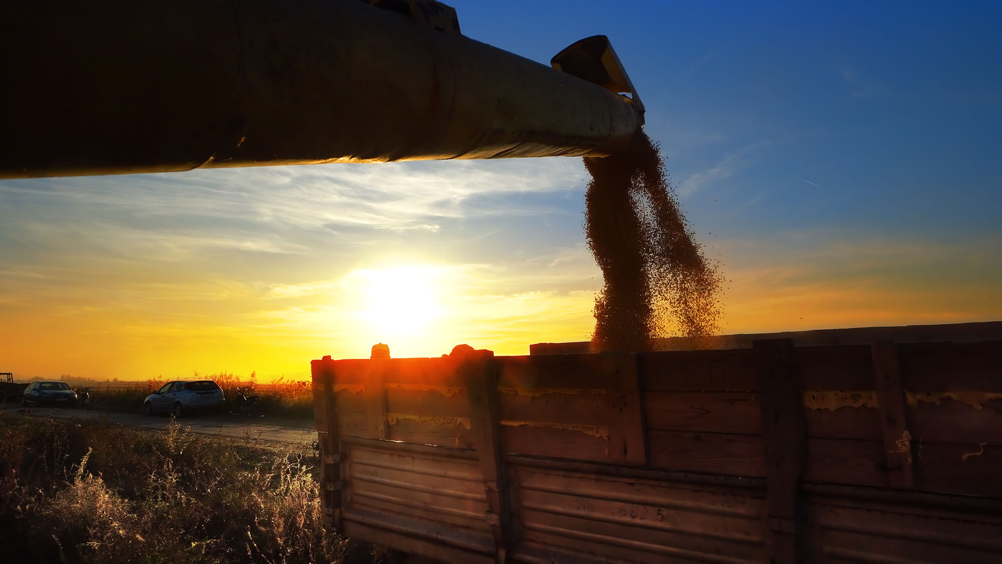 generic-unloading-grains.jpg
