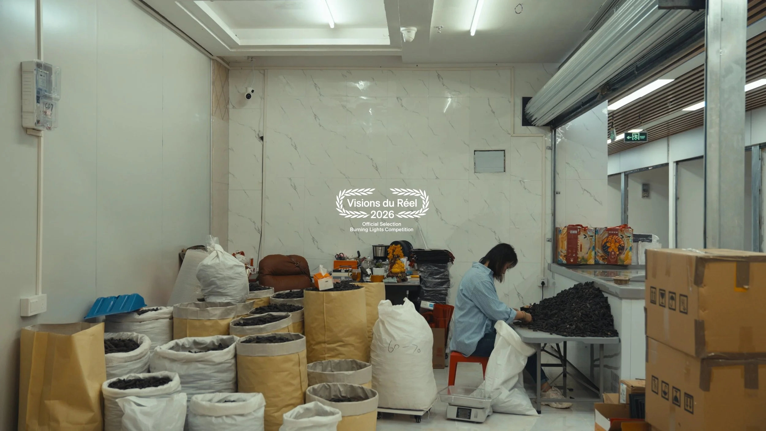 Untitled design (7).jpg