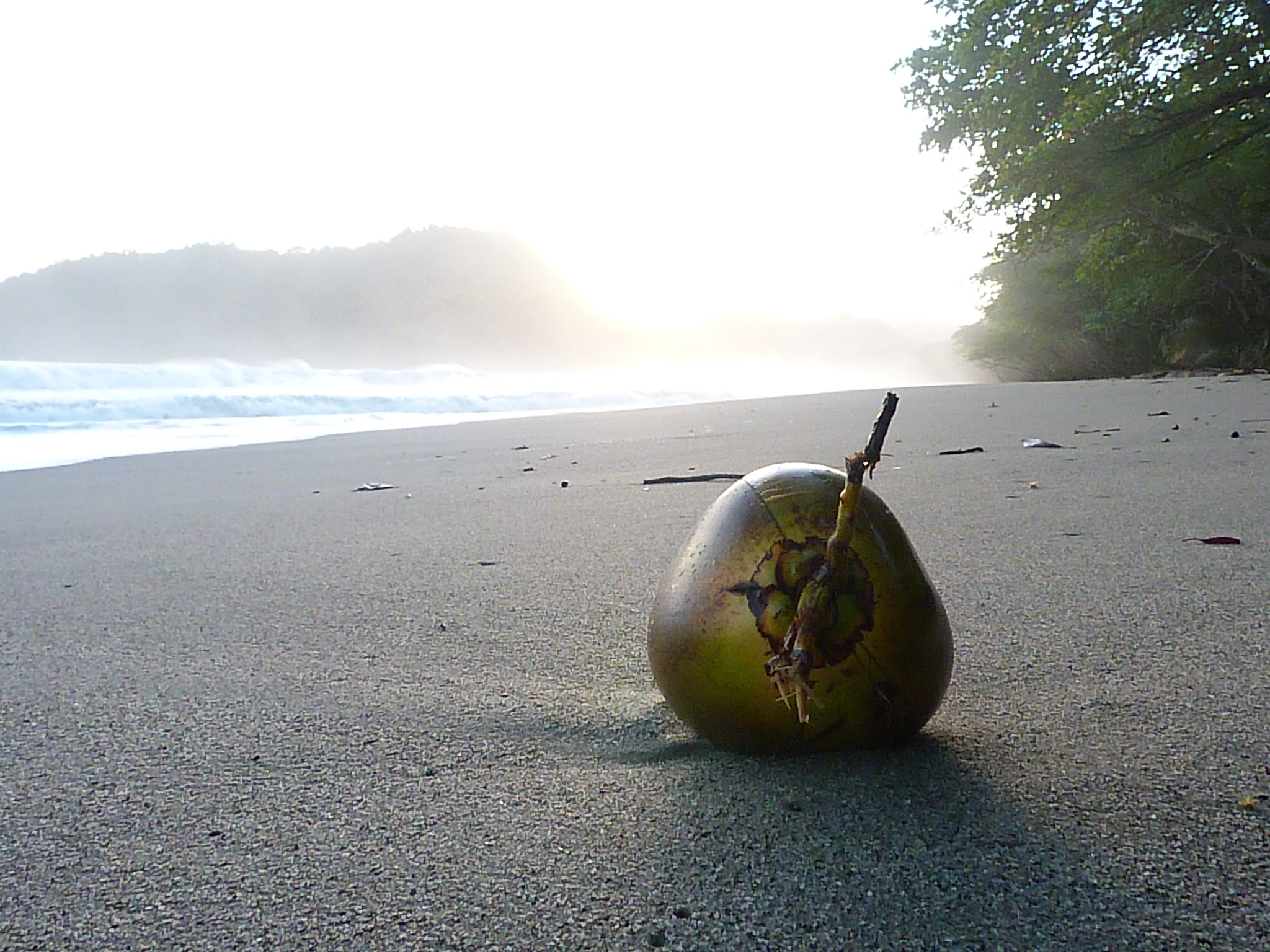 beach1.jpg