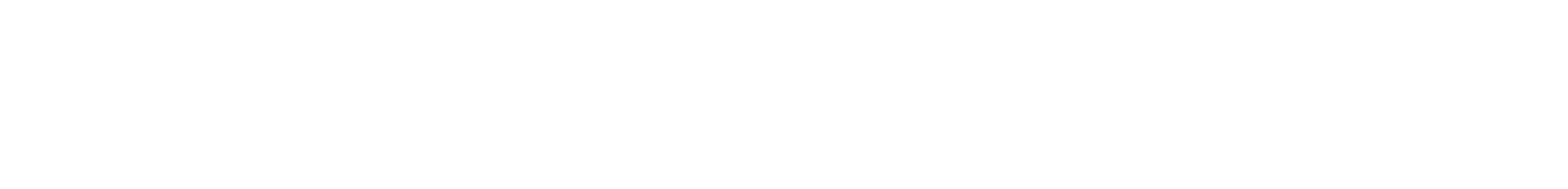 MBService-Logo-white.png