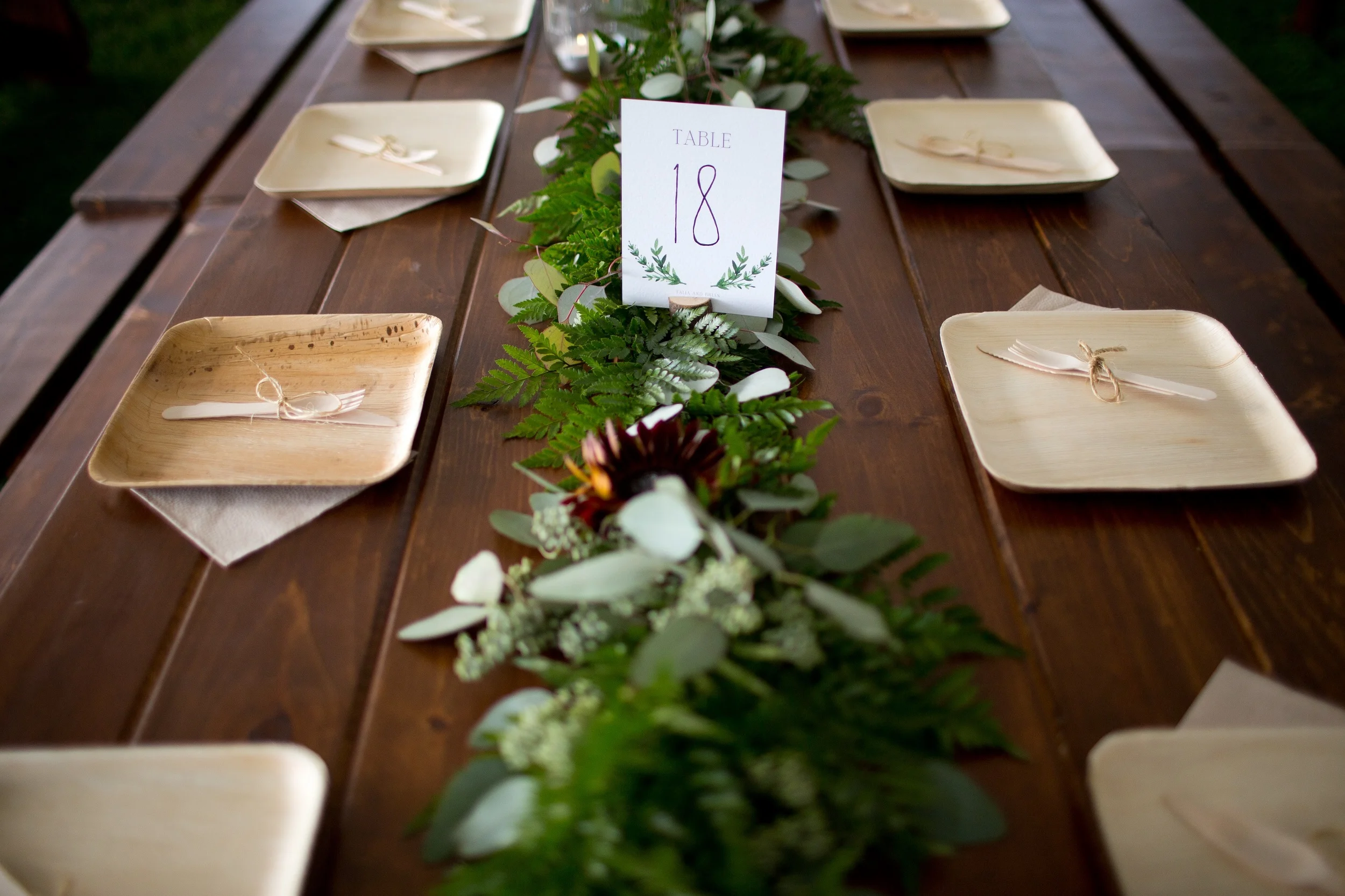 table-garland-biodegrable-event-plates.jpg