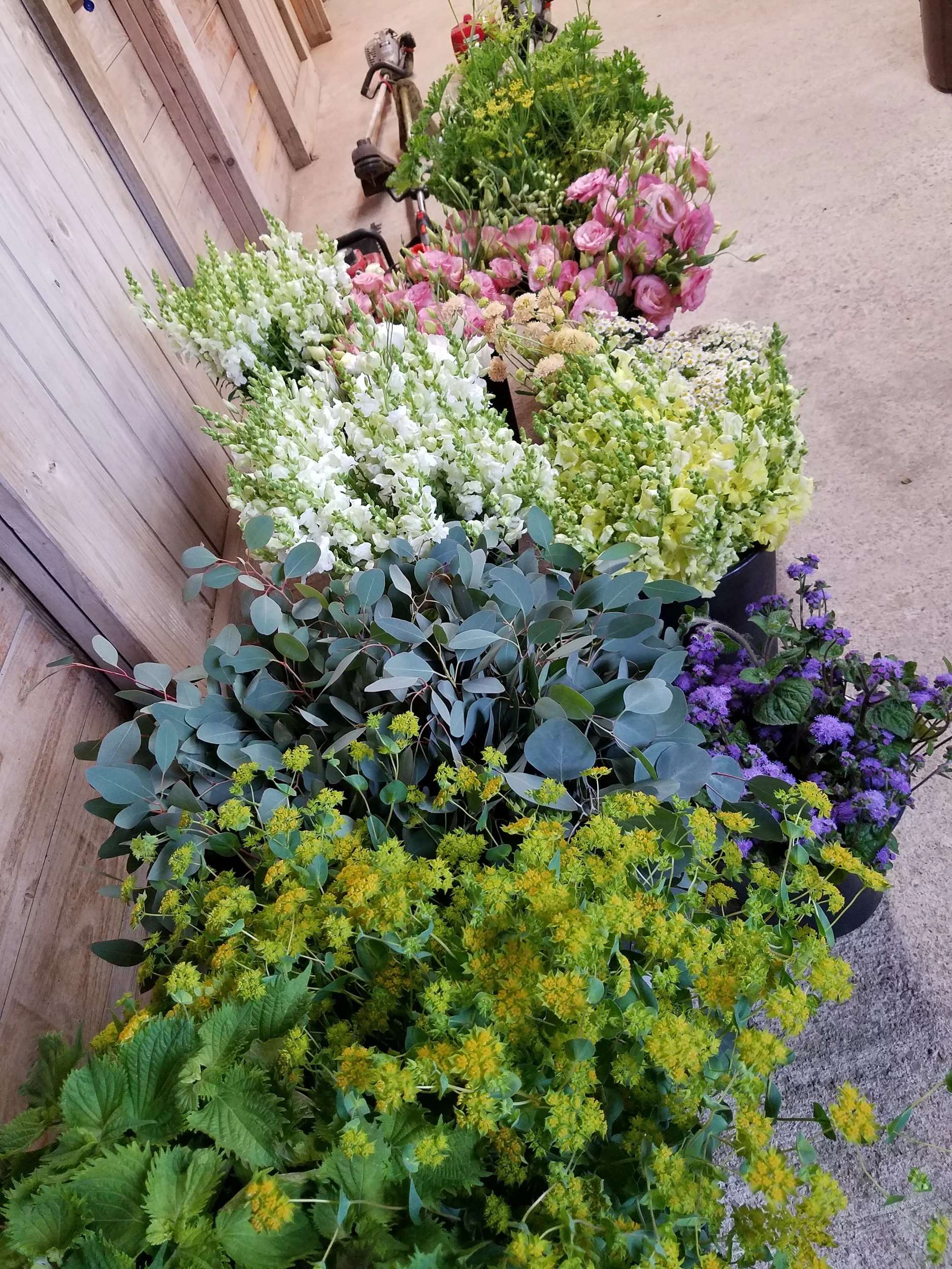 DIY-wedding-flower-farm-buckets.jpg