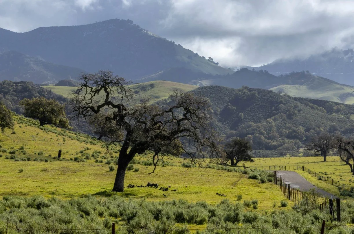 SY Valley Pic for website.jpg