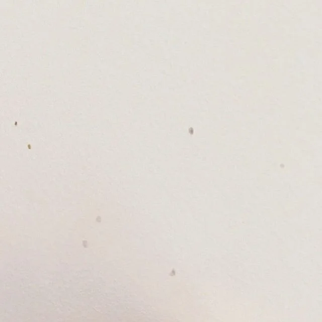 #frankwoodbridge #composer #electronic #haikus #composerlife #filmcomposer #film #television #documentary #brandcontent #musicproducer #soundtrack #dreamy #ambient #urban #uplifting